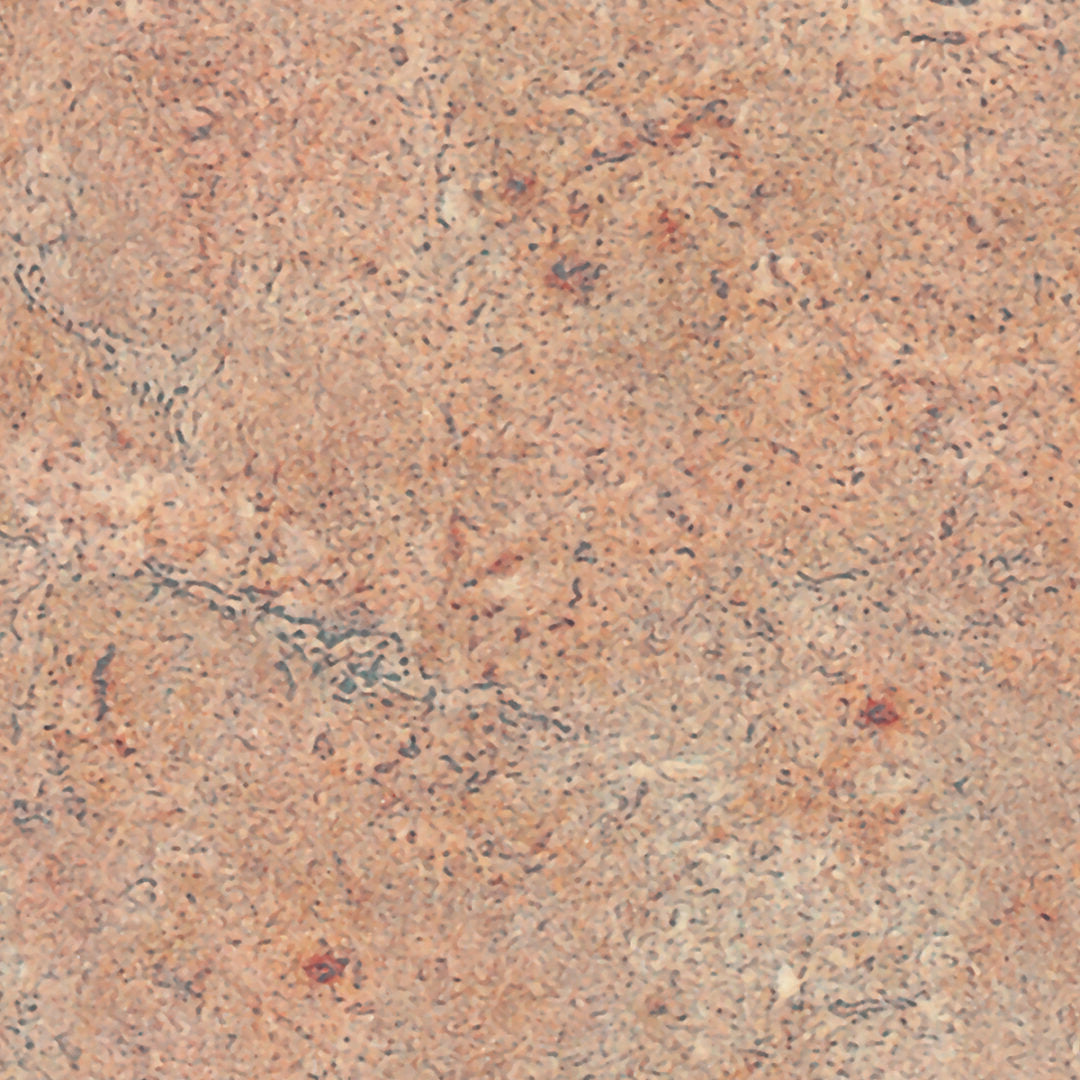 Formica Carrara Envision 7494