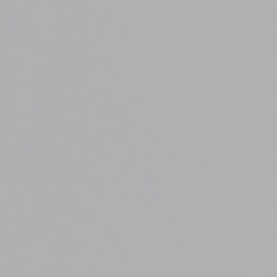 Formica Fog 961
