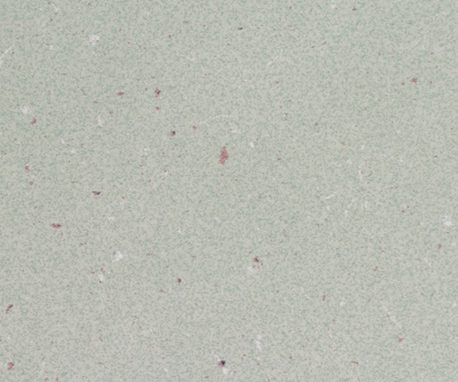 Nevamar PR5001 PAPIER LUNA