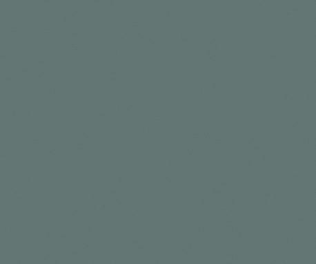 Pionite SG240 MOSS GRAY
