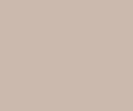 Pionite ST683 PEBBLE