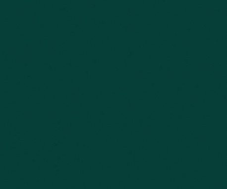 Pionite SV710 ANTHRA GREEN