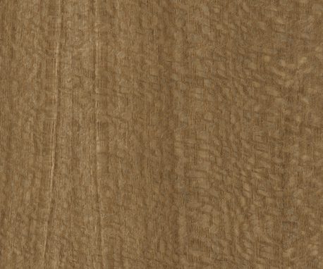 Pionite WO190 CARAMEL CHENE