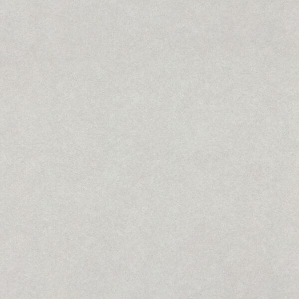 Wilsonart Grey Pampas 4168