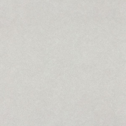 Wilsonart Grey Pampas 4168