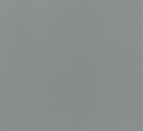 Nevamar AG8000 Silver Dollar