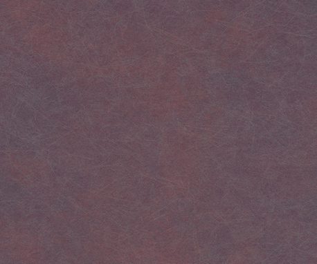 Pionite AP341 PORFIRIO