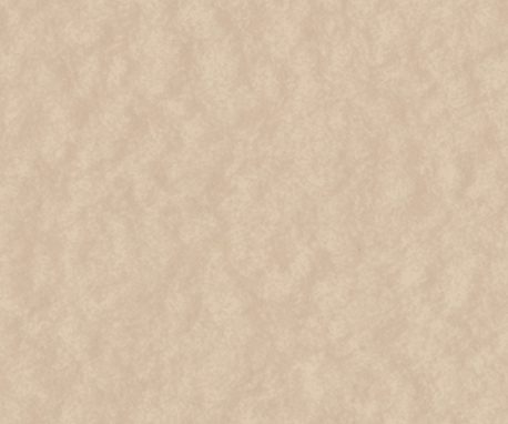 Pionite AT251 BEIGE CREPE