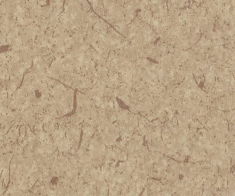 Pionite AT981 CORIANDER FIBER