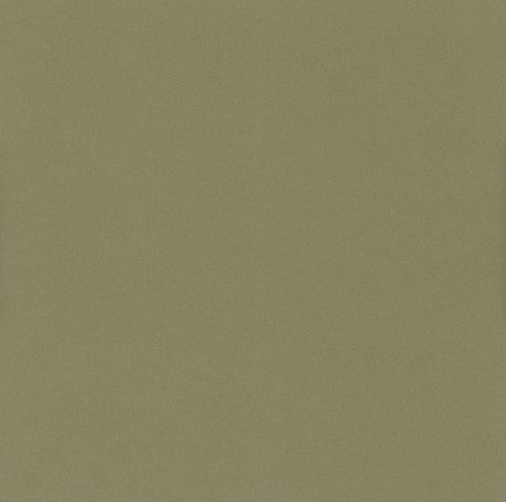 Pionite AV310 VIRID VERDE