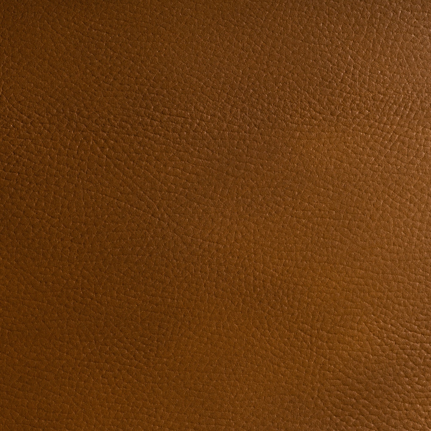 Formica Chocolate 5617