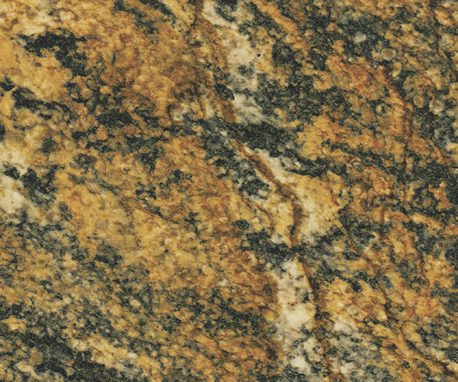 Pionite MT430 RONALD