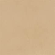 Formica Ivory 5623
