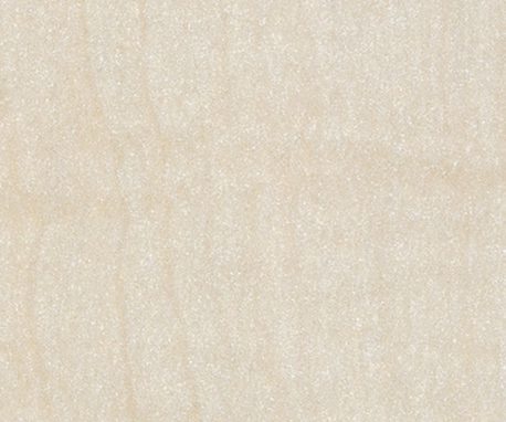 Pionite PFA42 TEA PARTY IN BOSTON