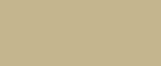 Arborite S-444 New Sand