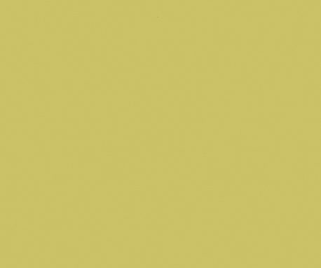 Nevamar S5057 Kool Kiwi