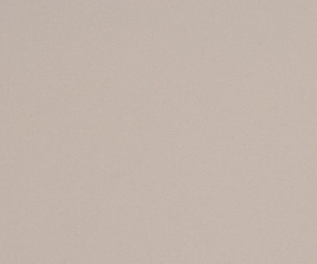 Nevamar S6018 CHINCHILLA