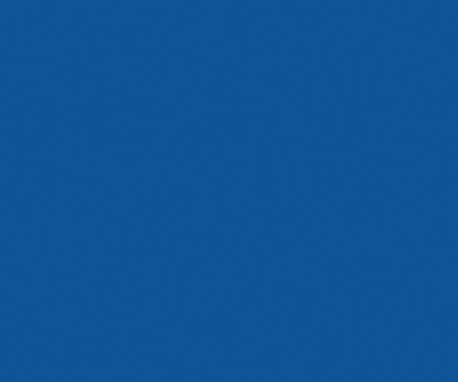 Pionite SB040 BLUEBERRY HILL