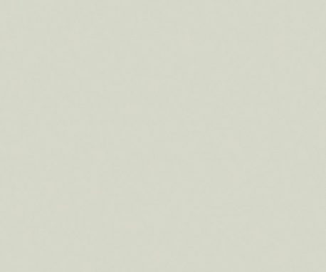 Pionite SG203 PUMICE