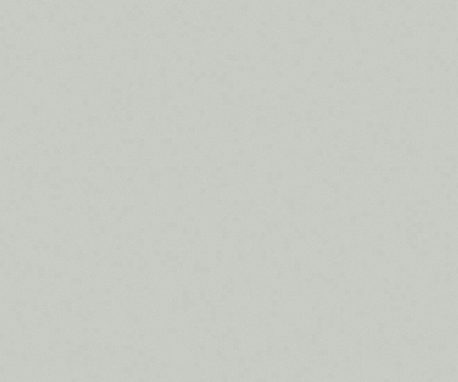 Pionite SG204 MERCURY