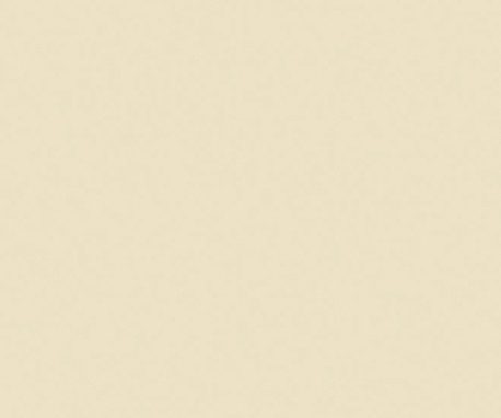 Pionite SG209 PUTTY GRAY