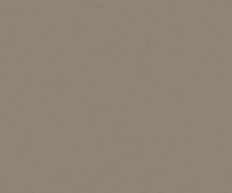 Pionite SG210 GREIGE