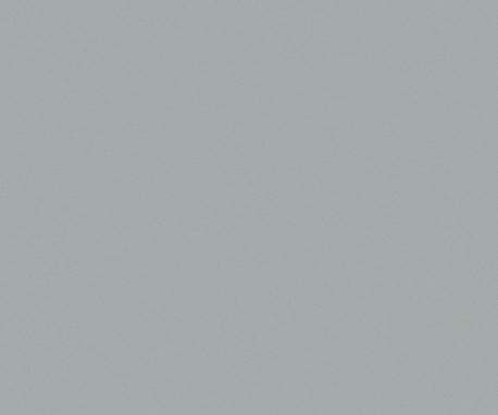 Pionite SG213 OPTI GRAY