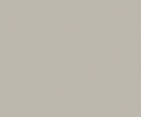Pionite SG224 STONEDUST