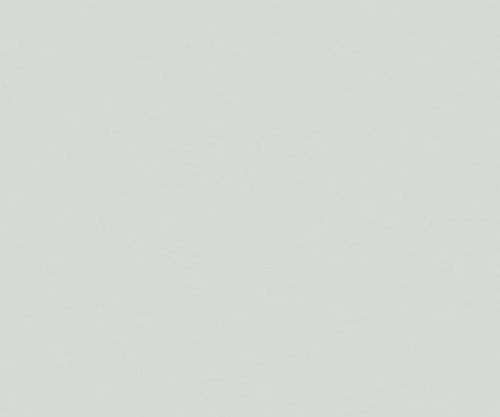 Pionite SG241 FOLKSTONE GRAY