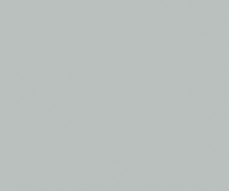 Pionite SG246 DOLPHIN GRAY
