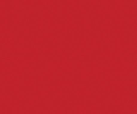 Pionite SR505 NAVAJO RED