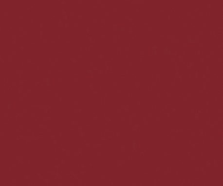 Pionite SR521 BURGUNDY