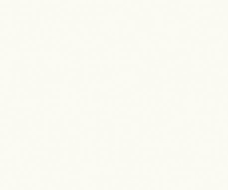 Pionite SW803 EGGSHELL WHITE