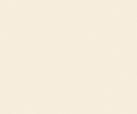 Pionite SW812 TAWNY WHITE