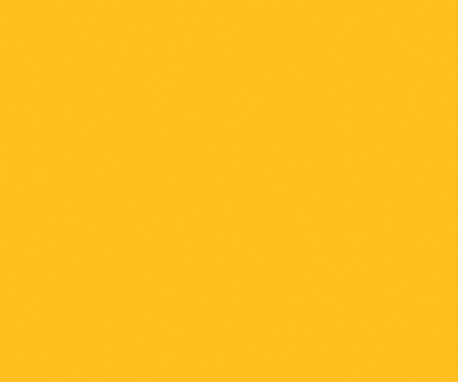 Pionite SY913 FORSYTHIA
