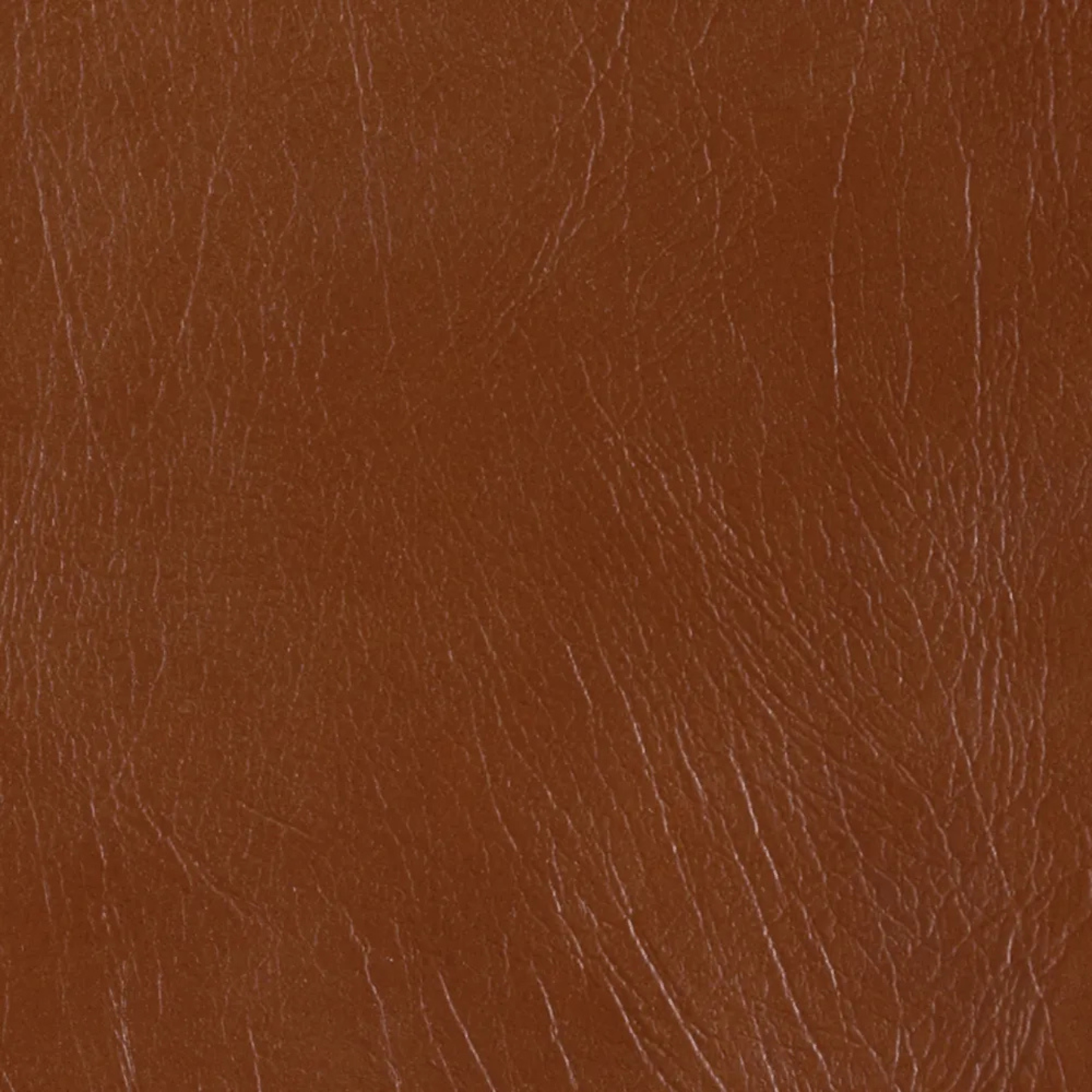 Formica Chestnut 5625