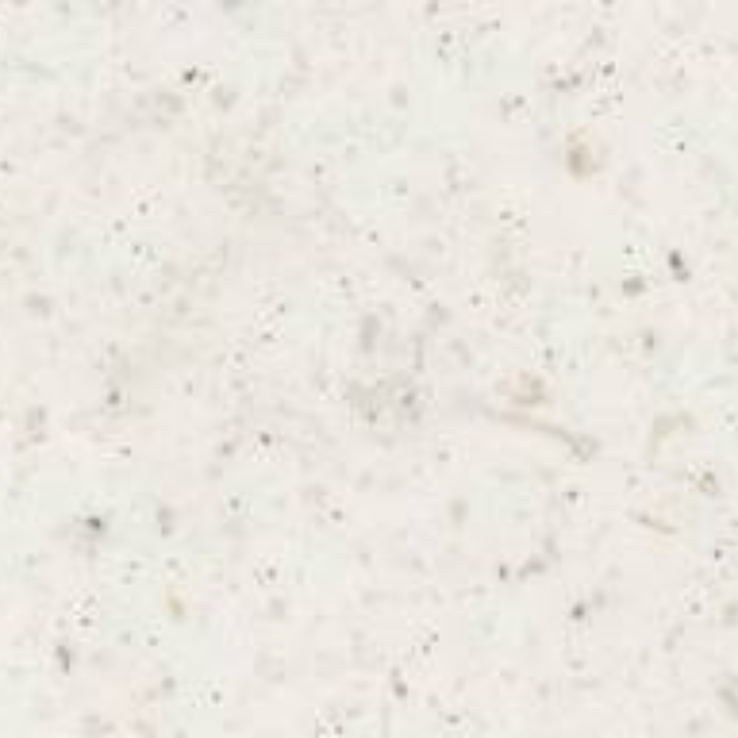Formica White Travertine 788