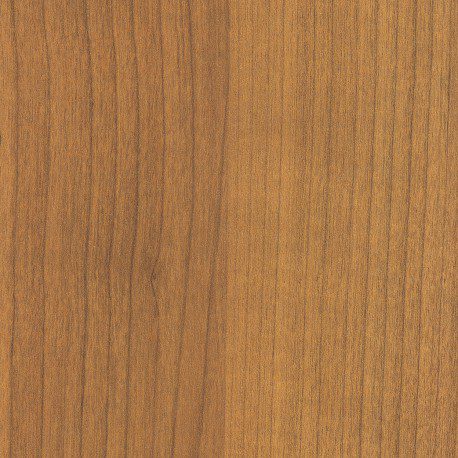 Pionite WC125 IWANTOO SAVATRE