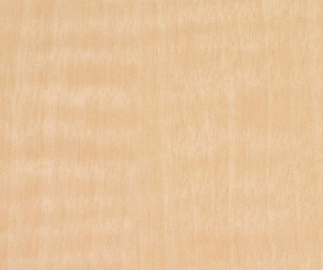 Nevamar WM8349 Champagne Sagawood