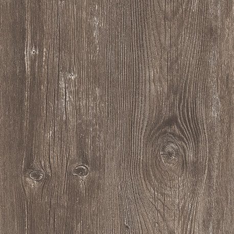 Pionite WP500 S'MORES