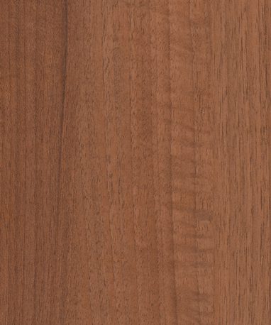 Pionite WW011 KINGSLEY