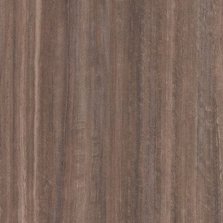 Pionite WX170 TIRAMISU