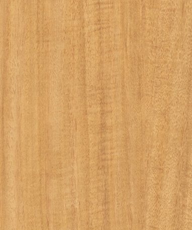 Pionite WY131 SILVIO