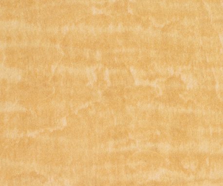 Nevamar WZ0002 Mikado Woodprint