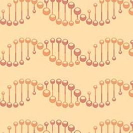 Wilsonart Poppy Code Y0139