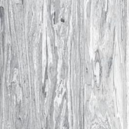 Wilsonart Polished Olive Y0569