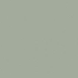 Wilsonart Pickly Pear Y0859