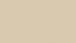 1531 Light Beige - Wilsonart