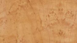 3001 Honey Birdseye Maple - Lamin-Art