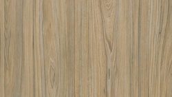 3085 American Elm - Lamin-Art